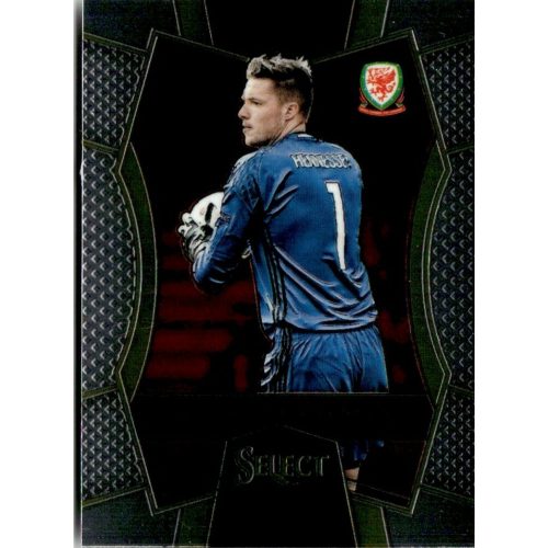 2016-17 Panini Select Mezzanine #116 Wayne Hennessey