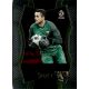 2016-17 Panini Select Mezzanine #197 Lukasz Fabianski