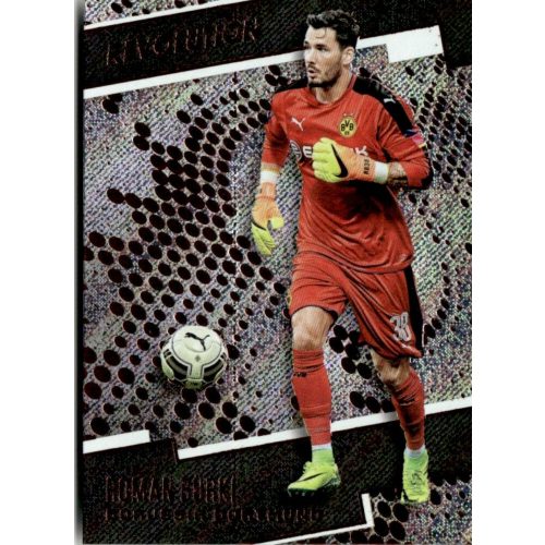 2020-21 Panini Revolution  #30 Roman Burki 