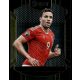 2016 Panini Select Terrace #63 Hal Robson-Kanu