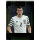 2016 Panini Select Terrace #70 Seamus Coleman