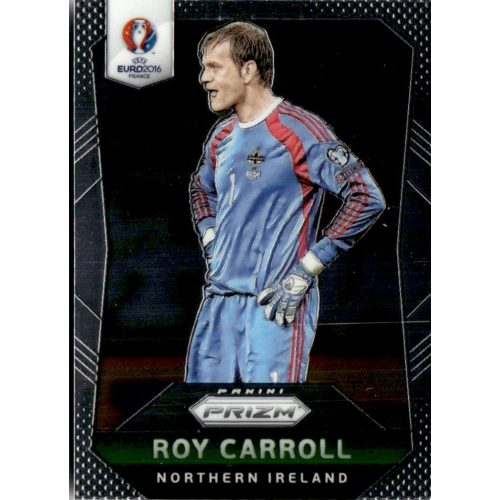 2016 Panini UEFA Euro Prizm  #69 Roy Carroll