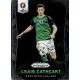 2016 Panini UEFA Euro Prizm  #75 Craig Cathcart