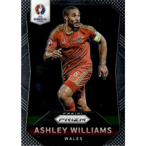 2016 Panini UEFA Euro Prizm  #120 Ashley Williams