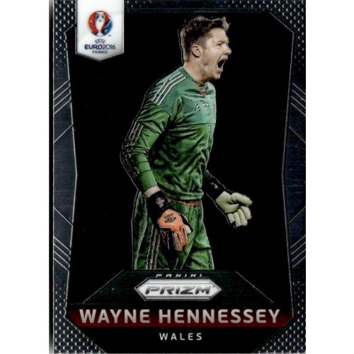 2016 Panini UEFA Euro Prizm  #123 Wayne Hennessey