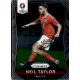 2016 Panini UEFA Euro Prizm  #125 Neil Taylor