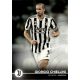 2021 Topps Juventus FC Trading Cards Set  #3 Giorgio Chiellini