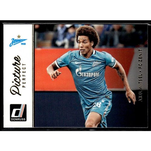 2016 Donruss Picture Perfect  #5 Axel Witsel