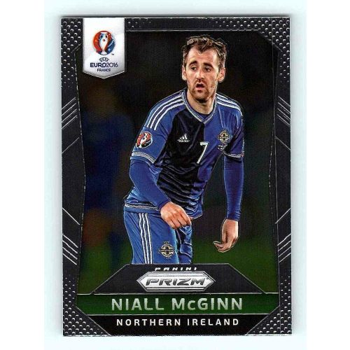 2016 Panini Panini Uefa Euro Prizm Base #71 Niall McGinn