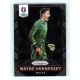 2016 Panini Panini Uefa Euro Prizm Base #123 Wayne Hennessey