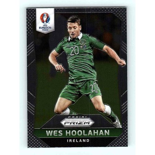 2016 Panini Panini Uefa Euro Prizm Base #229 Wes Hoolahan