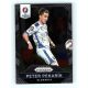 2016 Panini Panini Uefa Euro Prizm Base #135 Peter Pekarik