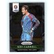 2016 Panini Panini Uefa Euro Prizm Base #69 Roy Carroll