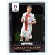 2016 Panini Uefa Euro Prizm Base #145 Lukasz Piszczek