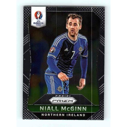 2016 Panini Uefa Euro Prizm Base #71 Niall McGinn