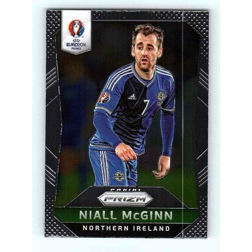 2016 Panini Uefa Euro Prizm Base #71 Niall McGinn