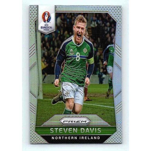 2016-17 Panini Uefa Euro Prizm Base Silver Prizms #66 Steven Davis