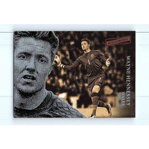 2016-17 Aficionado Soccer Base #138 Wayne Hennessey