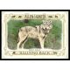 2021-22 Topps Allen and Ginter Rallying Back #RB-1 Gray Wolf