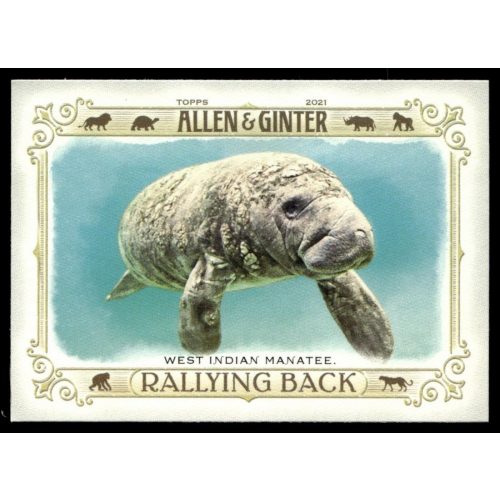 2021-22 Topps Allen and Ginter Rallying Back #RB-10 West Indian Manatee