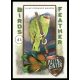 2021-22 Topps Allen and Ginter Birds of a Feather #BOF-5 Lilac-Crowned Amazon