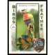 2021-22 Topps Allen and Ginter Birds of a Feather #BOF-10 Rainbow Lorikeet