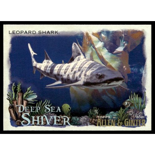 2021-22 Topps Allen and Ginte Deep Sea Shiver  #DSS-12 Leopard Shark