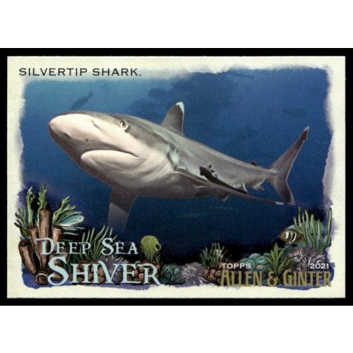 2021-22 Topps Allen and Ginte Deep Sea Shiver  #DSS-15 Silvertip Shark