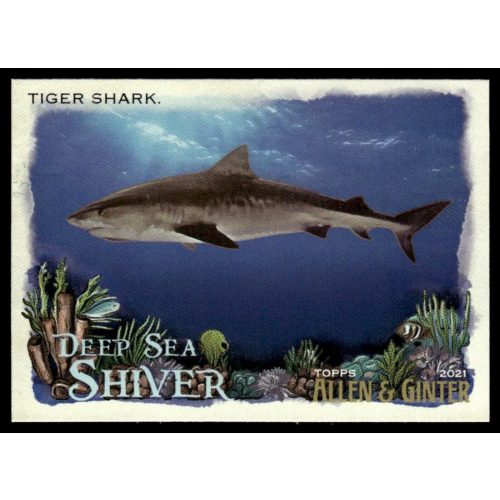 2021-22 Topps Allen and Ginte Deep Sea Shiver  #DSS-4 Tiger Shark