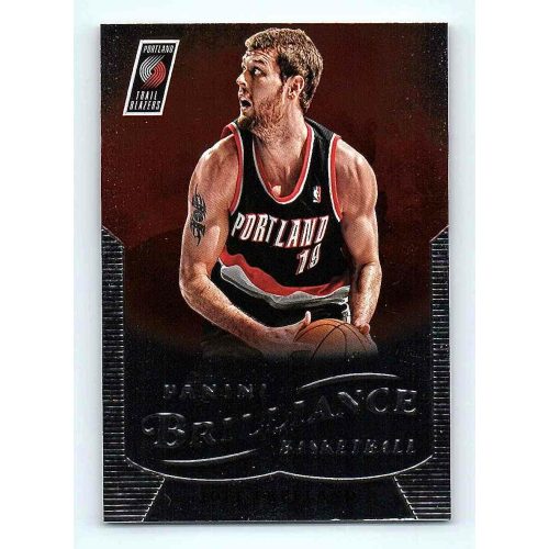 2012-13 Panini Brilliance Base #167 Joel Freeland