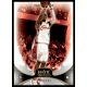 2008-2009 Fleer Hot Prospects  #30 Daniel Gibson